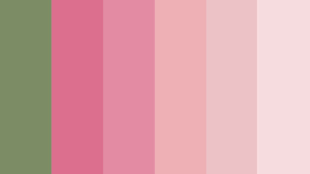 Earth tone color palette showing green and various shades of pink