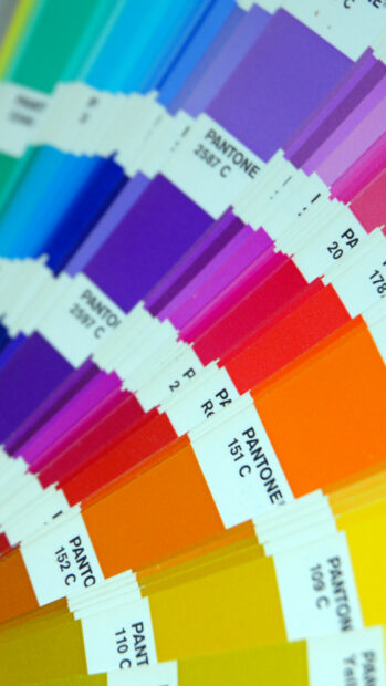 A vibrant selection of color palette swatches showcasing various shades and tones