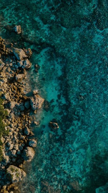 Clear turquoise water and coral sea landscape with rocks along the shore