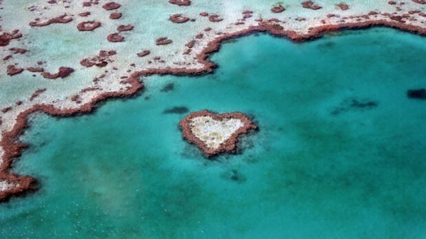 Aerial view of coral reef forming a heart shape in the Coral Sea