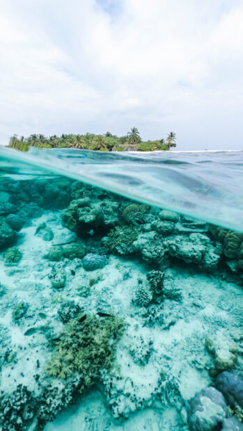 Clear coral sea underwater view with tropical island in the distance