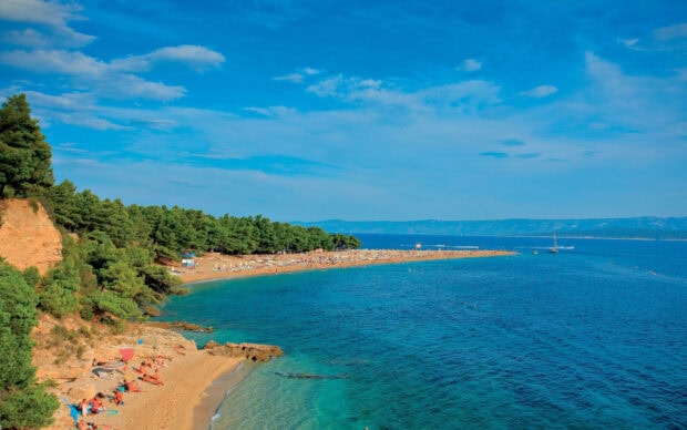 Sandy beach and turquoise sea with pine trees in Croatia coast