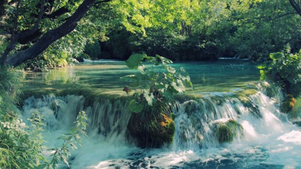 A beautiful river landscape in Croatia with lush greenery and clear water flowing over rocks