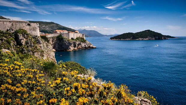 Coastal landscape of Croatia with yellow flowers and ancient stone fortress