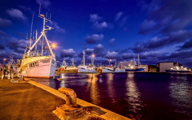 Fishing boats docked at the pier in Denmark under a deep blue evening sky