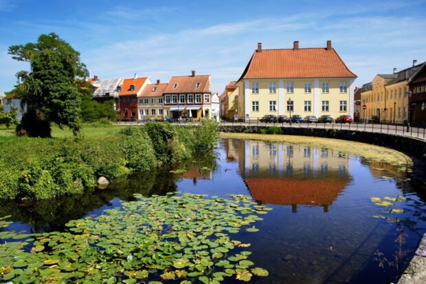 Traditional Danish town with colorful buildings reflected in calm water with lily pads