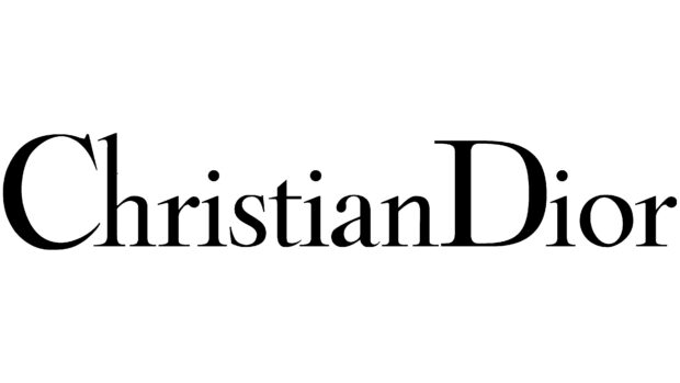 Christian Dior logo text design in black on white background