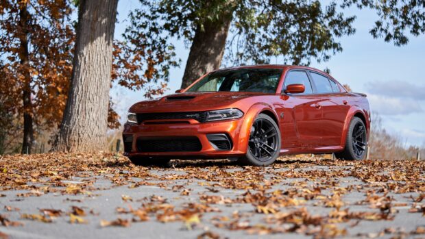 A Dodge Charger parked on a leaf covered road near tall trees in autumn