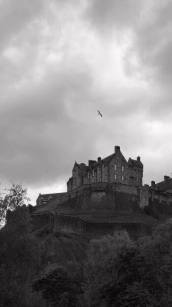 Edinburgh Castle is seen on a hill with trees and a bird flying in the cloudy sky