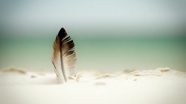 A single feather standing upright in soft white sand near a calm sea shore