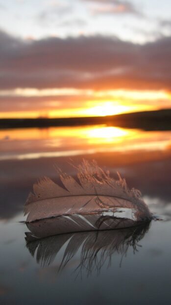 A delicate feather resting on calm water at sunset with warm colors and serene reflection