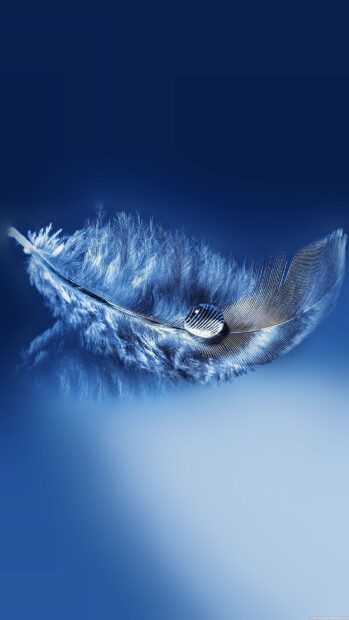 Close up of feather detail with water droplet on a blue feather surface