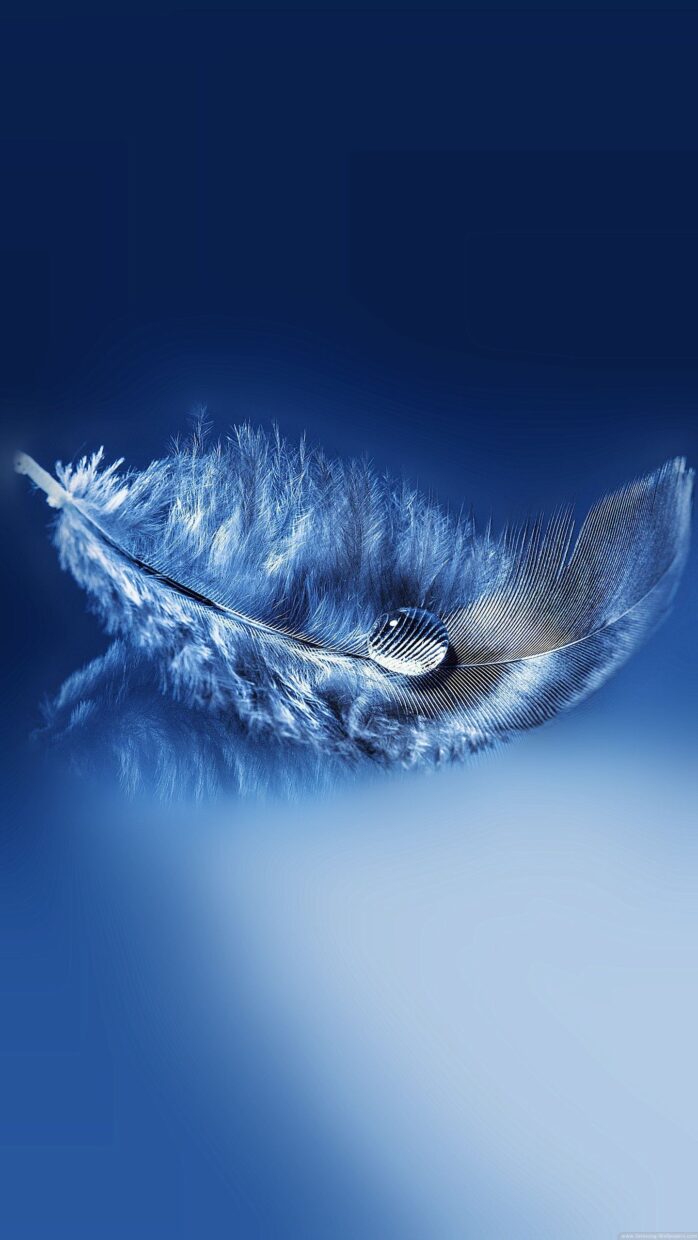 Feather Wallpapers - PixelsTalk
