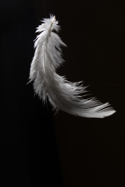 A close up of a delicate white feather softly hanging against a dark background