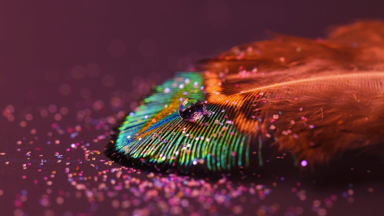 Feather Wallpapers - PixelsTalk