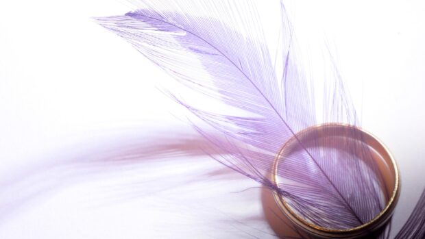 Purple feather resting inside a golden ring casting a soft shadow on a white surface