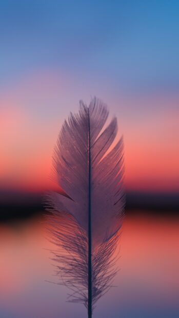 A delicate feather standing against a colorful sunset sky with soft hues of orange and blue