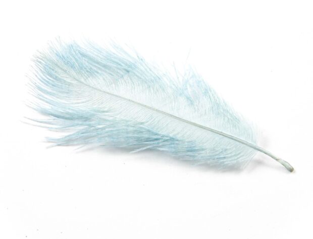 A delicate light blue feather lying flat on a white surface