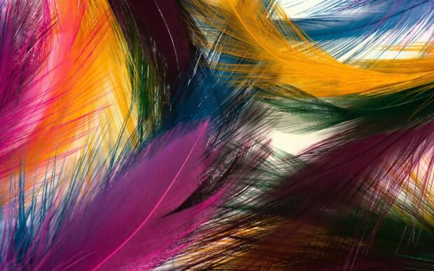Colorful feather texture with delicate strands in vibrant hues of pink blue yellow and green