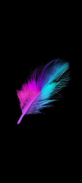 A colorful feather glowing with vibrant purple and blue shades on a black background