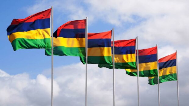 Multiple flags with red blue yellow and green stripes waving against a cloudy sky