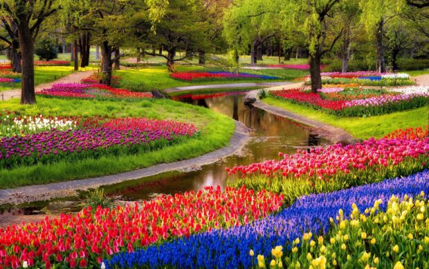 A colorful flower garden with vibrant tulips and lush greenery surrounding a winding stream