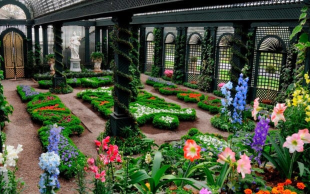 A flower garden with colorful blooms and lush greenery in a structured outdoor space