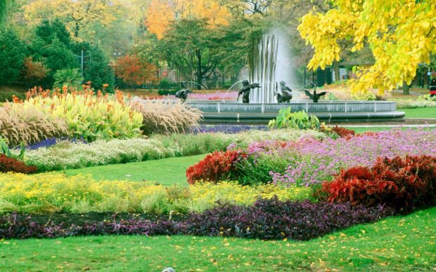 Colorful flower garden in full bloom with green grass and autumn trees surrounding a fountain sculpture
