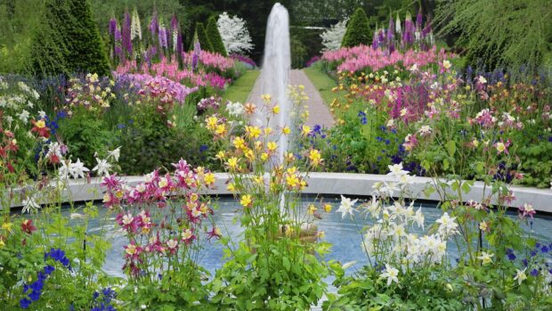 Colorful flower garden with a water fountain in the center surrounded by green trees and blooming flowers