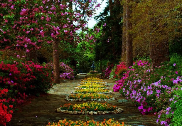 A flower garden with colorful flowers and lush greenery lining a stone pathway