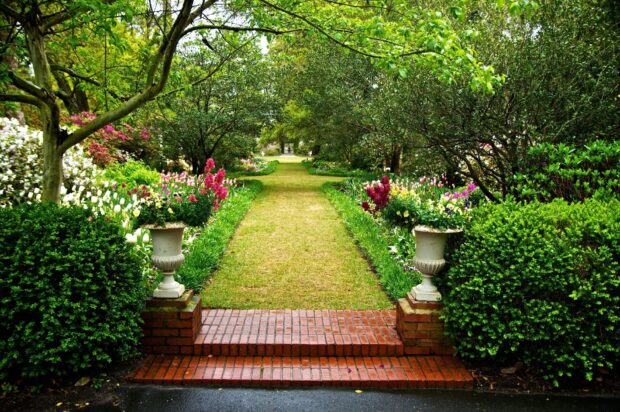 A pathway through a lush flower garden with colorful blooms and green trees lining the sides