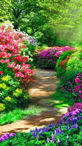 A colorful flower garden with various blooms along a shaded walking path surrounded by greenery