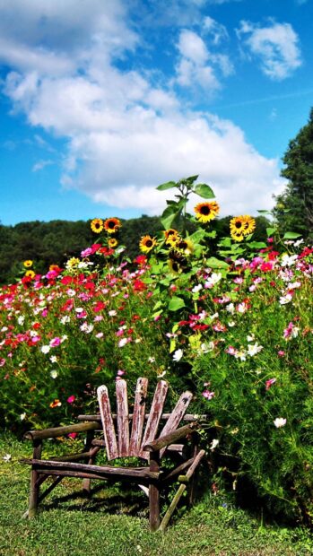 A rustic wooden chair surrounded by colorful flower garden under a bright blue sky