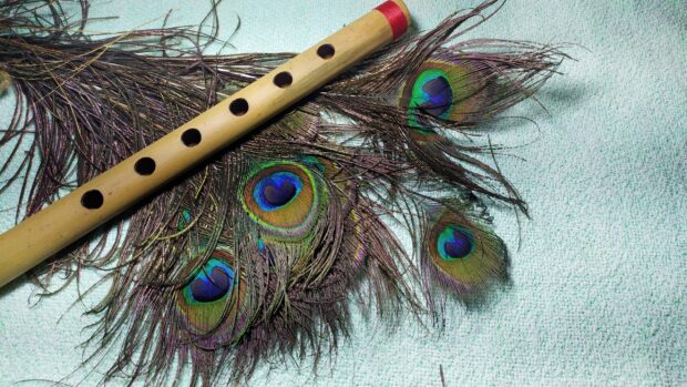 Wooden flute resting on colorful peacock feathers highlighting a flute design