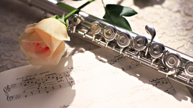 A delicate rose resting next to a shiny flute on top of sheet music in soft lighting