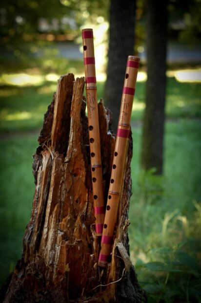 Two traditional flutes resting against a tree stump in a natural setting