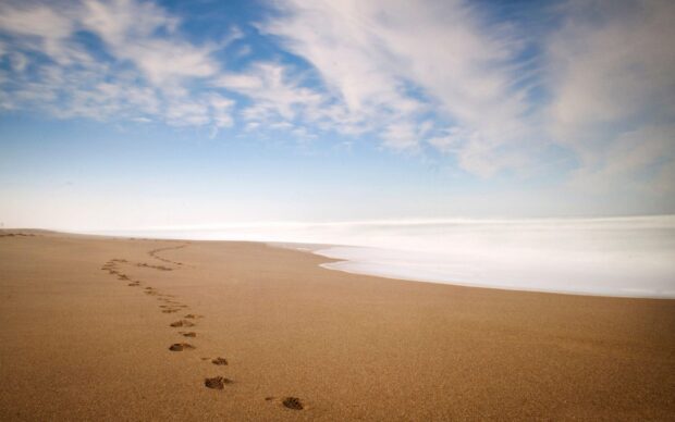 Footprints in the sand leading along a serene beach under a clear blue sky