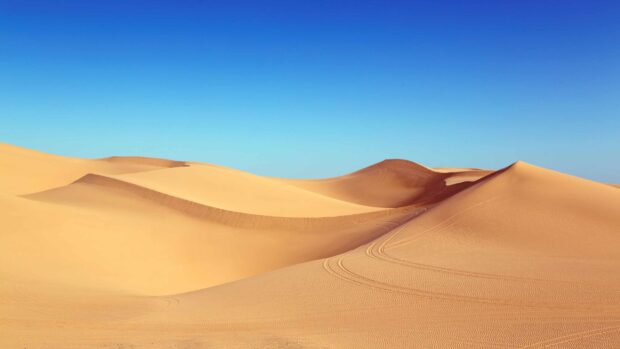 Smooth sand dunes with footprints in the desert under a clear blue sky