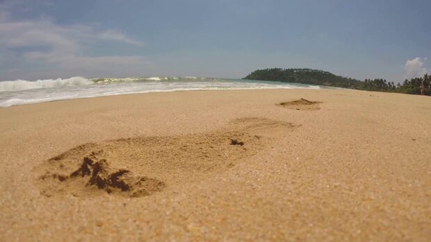 Close up of footprints in the sand on a beach by the ocean