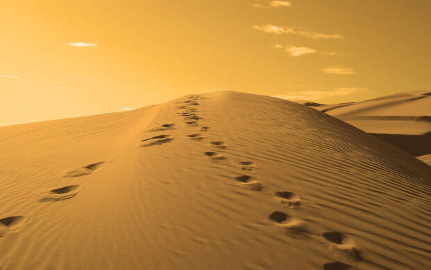 Footprints in the sand leading over a sand dune under a golden sky