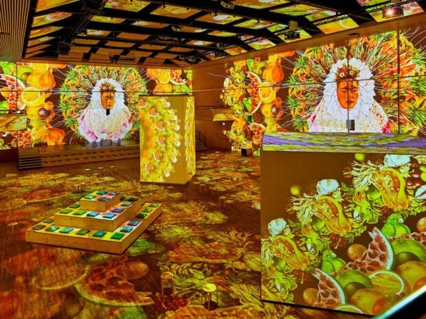 The immersive digital exhibit features vibrant Frida Kahlo art with colorful fruits and floral patterns
