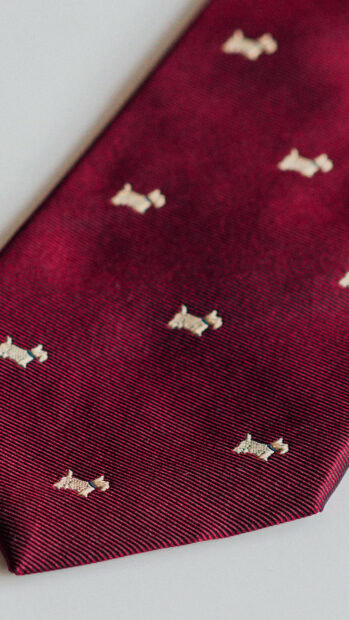 Red fabric with dog pattern as elegant gentleman accessory