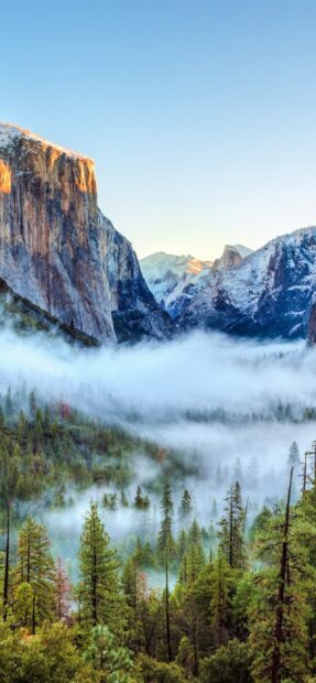 Mist rising over conifer forest and rocky mountains in a geography landscape
