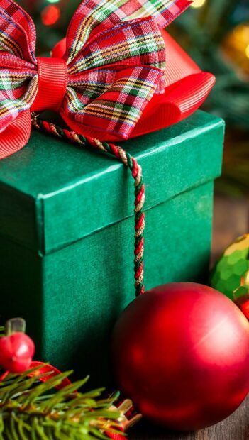 Green gift box with plaid ribbon and red ornament for gifts decoration