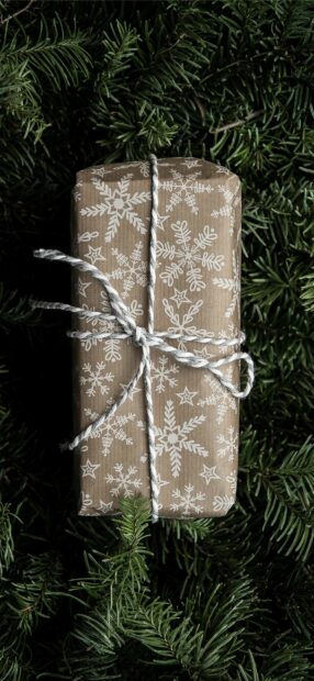 A rustic gift box with snowflake patterns tied with string surrounded by pine branches