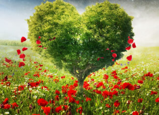 A heart shaped tree standing tall in a vibrant green field with red flowers scattered around