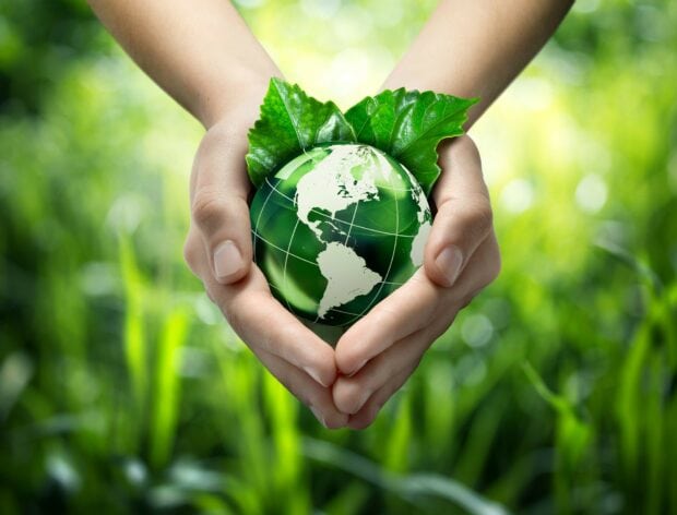 Hands holding a green earth surrounded by green leaves symbolizing go green