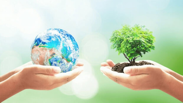 Hands holding earth and green tree symbolizing go green concept