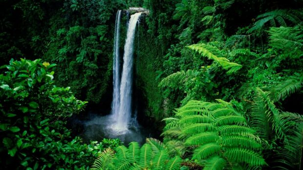 Lush green forest with a tall waterfall surrounded by vibrant green foliage showcasing go green