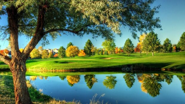 A large tree and green landscape reflected in a calm water body showcasing go green environment